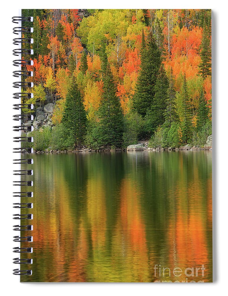 Rocky Mountain National Park Spiral Notebook featuring the photograph Fall Color on Bear Lake in Rocky Mountain National Park by Ronda Kimbrow