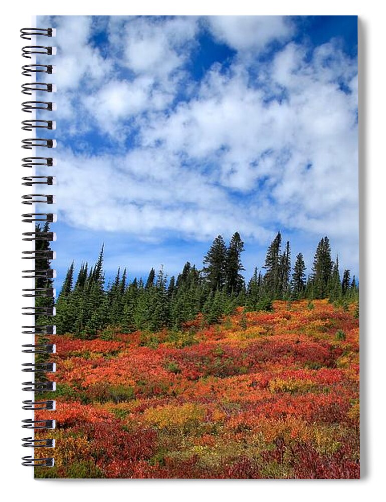 Fall Colors At Mount Rainier Spiral Notebook featuring the photograph Fall colors at Mount Rainier by Lynn Hopwood