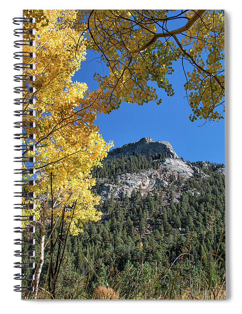 Fall Colors Spiral Notebook featuring the photograph Fall Colors Frame Bighorn Mountain by Tony Hake