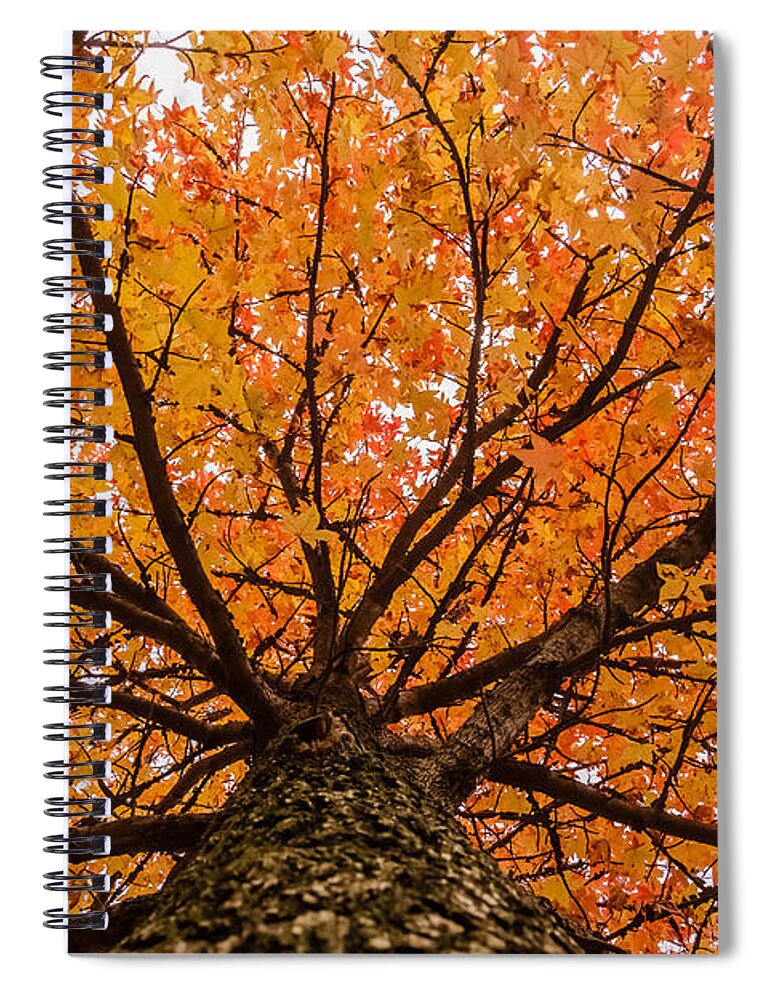Autumn Spiral Notebook featuring the photograph Fall display by SAURAVphoto Online Store