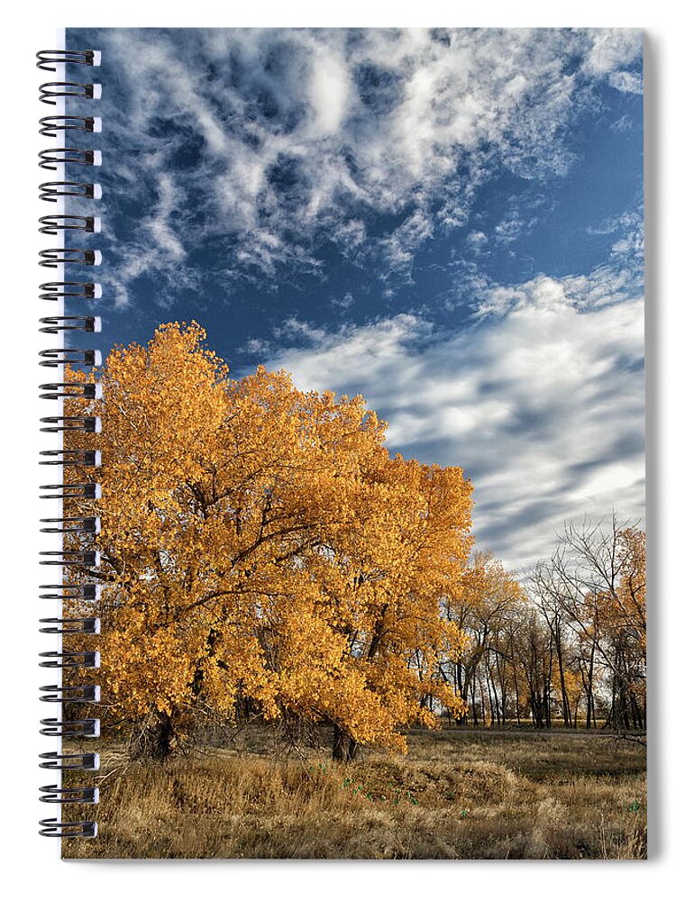 Fall Foliage Spiral Notebook featuring the photograph Fall Foliage and Beautiful Blue Skies by Tony Hake
