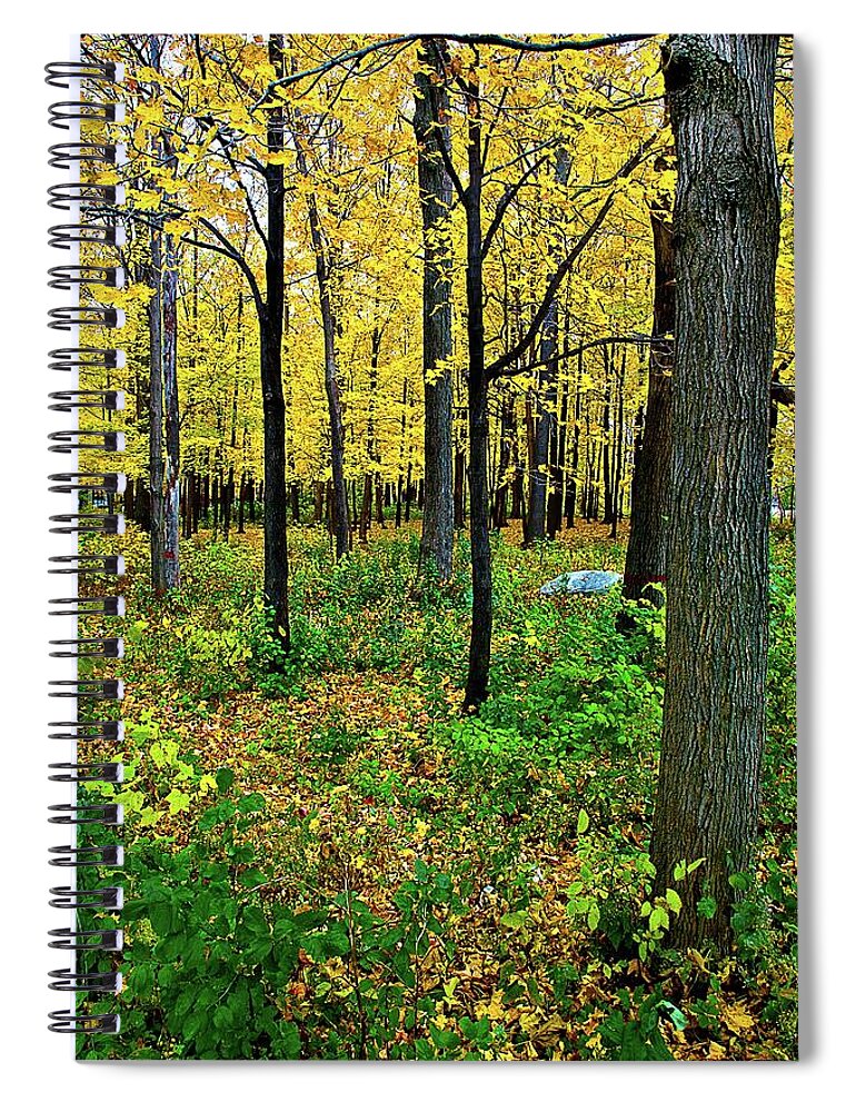 Fall Spiral Notebook featuring the photograph Fall Fusion by Burney Lieberman