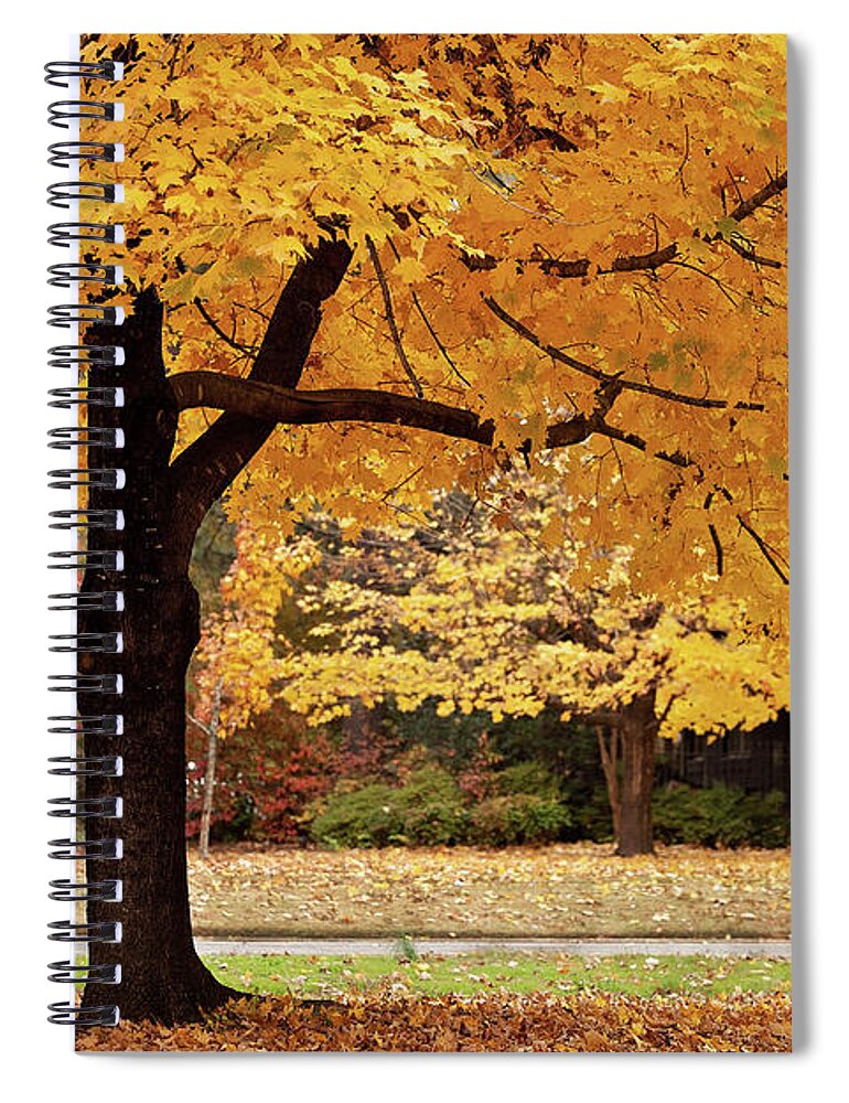 Fall Spiral Notebook featuring the photograph Fall in Downtown Conway by Eilish Palmer