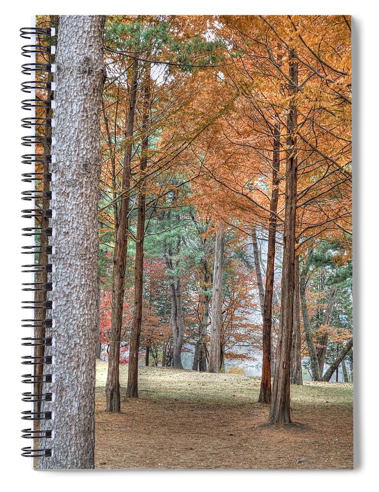 Fall Spiral Notebook featuring the photograph Fall in Korea by Bill Hamilton