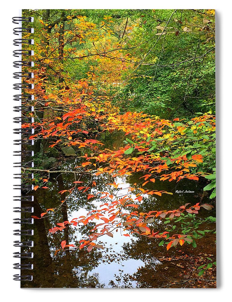 Fall Leaves Spiral Notebook featuring the photograph Fall is in the Air by Rafael Salazar