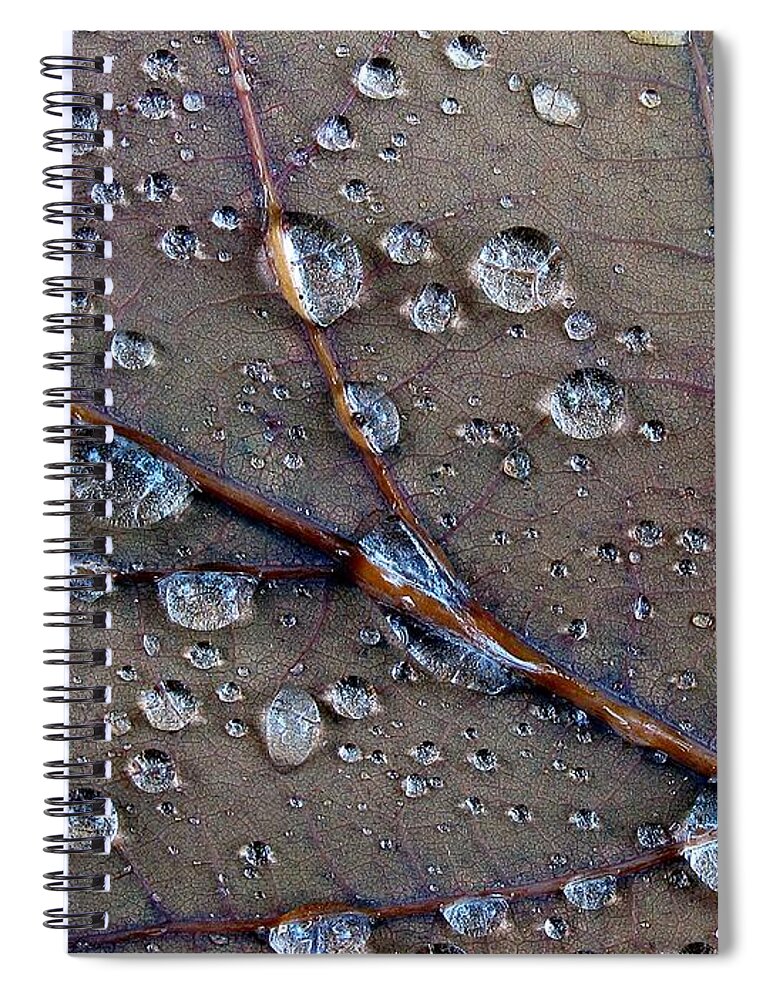 Fall Spiral Notebook featuring the photograph Fall Leaf by Juergen Roth
