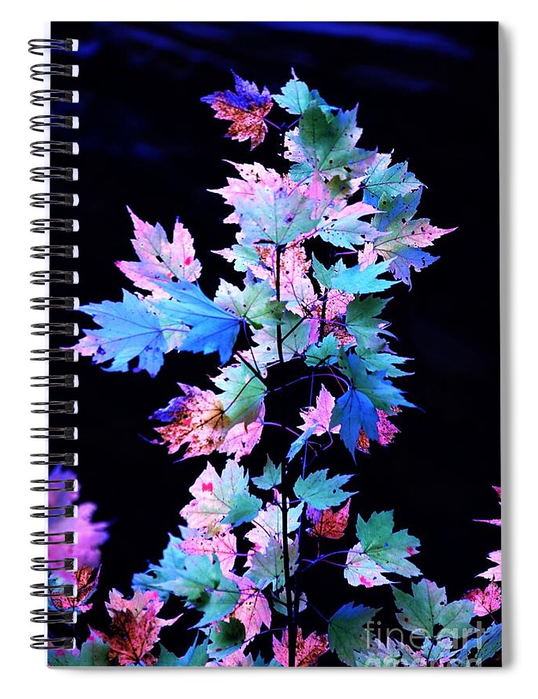 Autumn Spiral Notebook featuring the photograph Fall Leaves1 by Merle Grenz