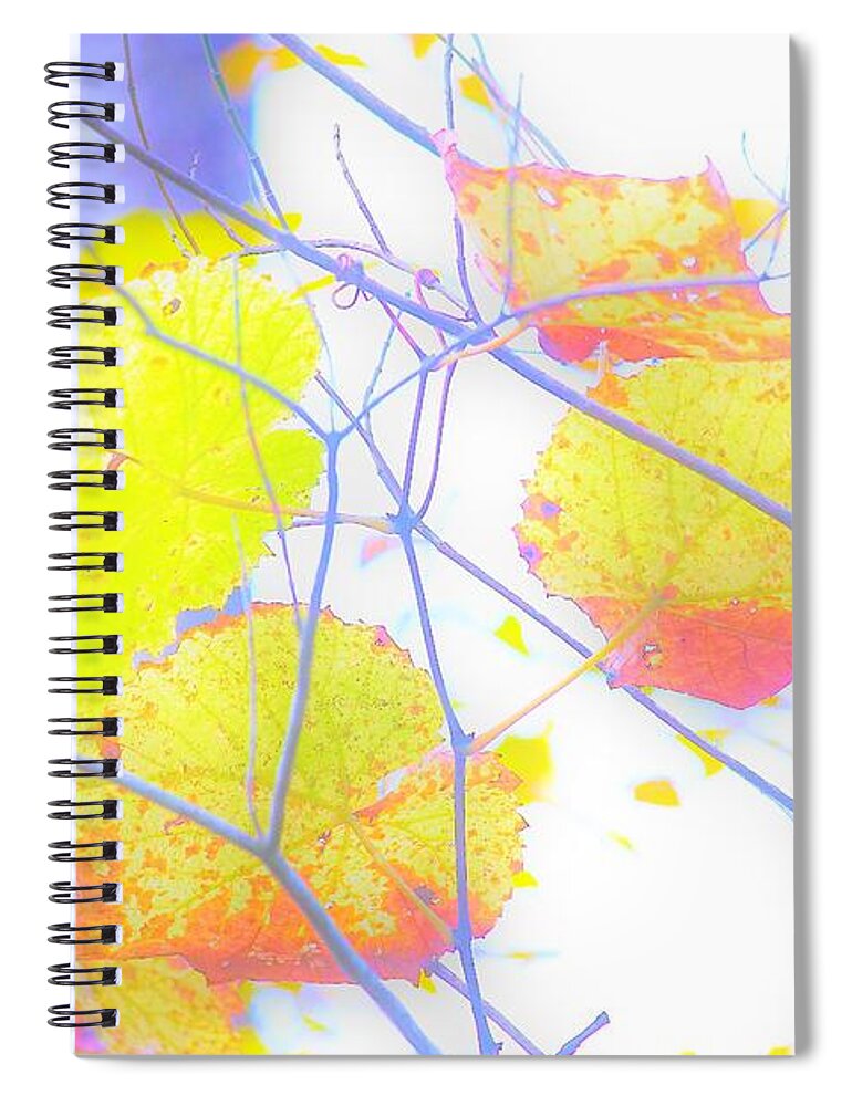 Leaves Spiral Notebook featuring the photograph Fall Leaves2 by Merle Grenz