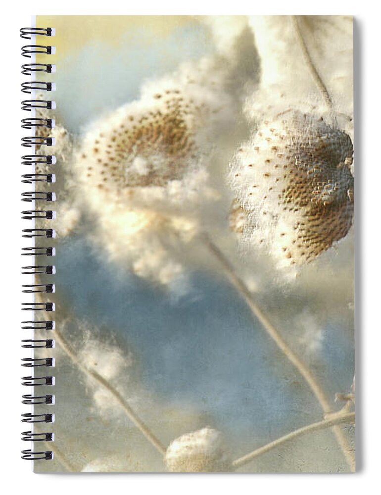Fall Spiral Notebook featuring the photograph Fall seeds by Jeff Burgess