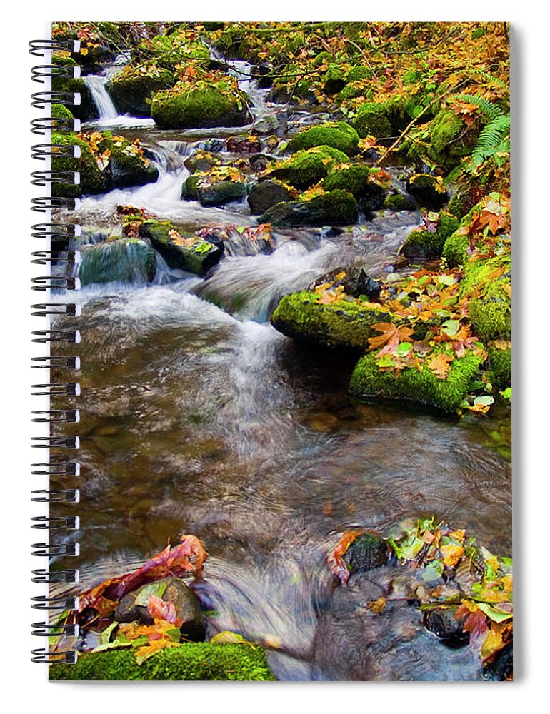 Landscapes Spiral Notebook featuring the photograph Fall Splendor by Steven Clark