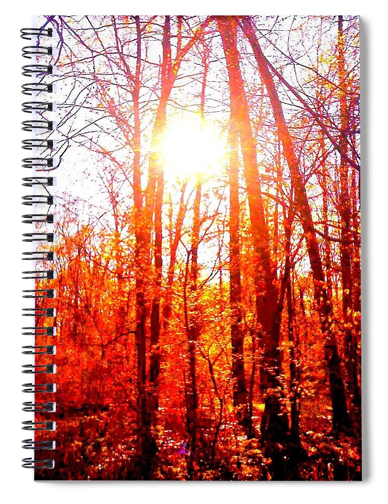  Fall Spiral Notebook featuring the photograph Fall Stroll by Christine Paris