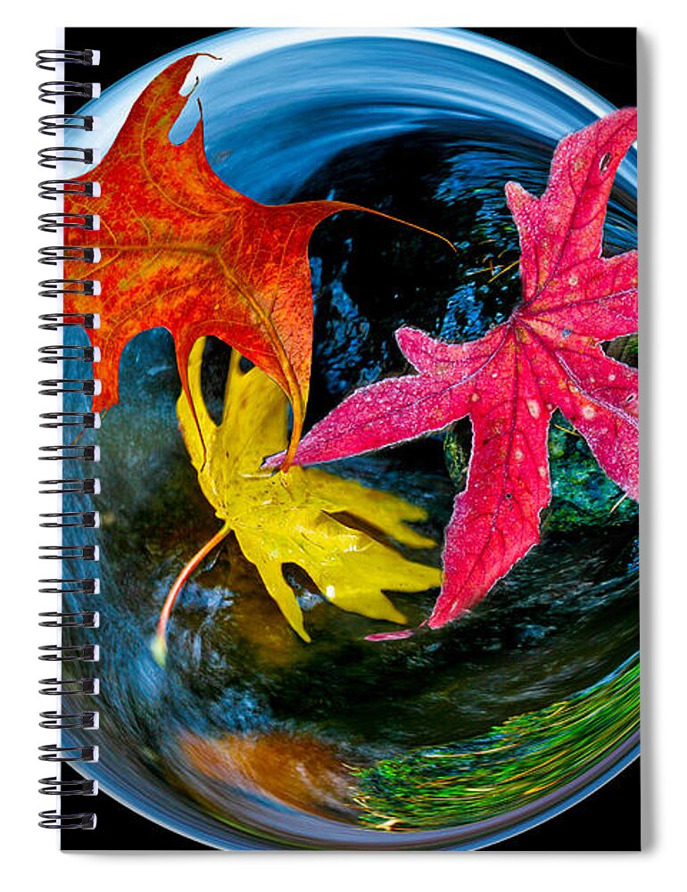 Fall Takes Over Spiral Notebook featuring the photograph Fall takes over by Jean Noren