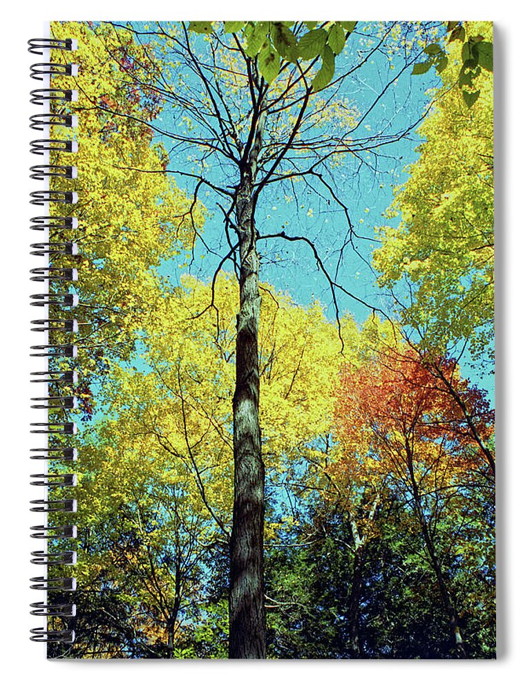 Fall Spiral Notebook featuring the photograph Fall Trees by Doolittle Photography and Art
