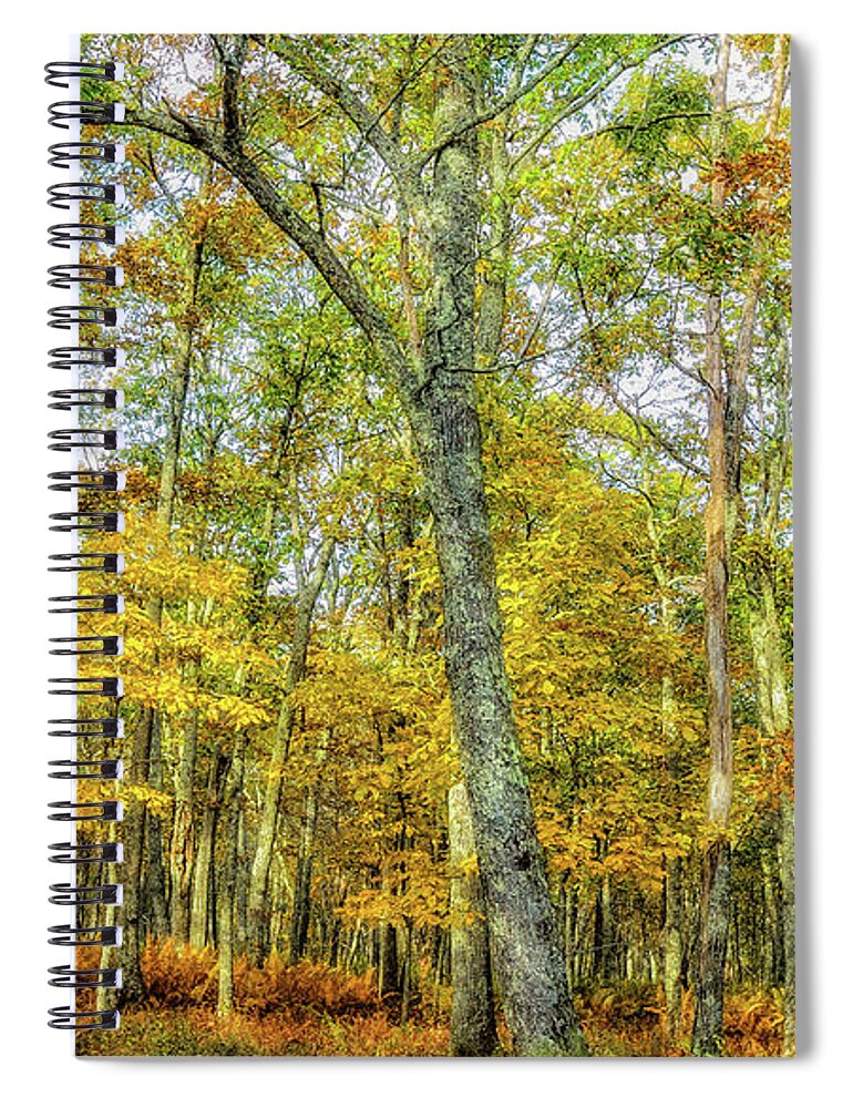 Landscape Spiral Notebook featuring the photograph Fall Yellow by Joe Shrader