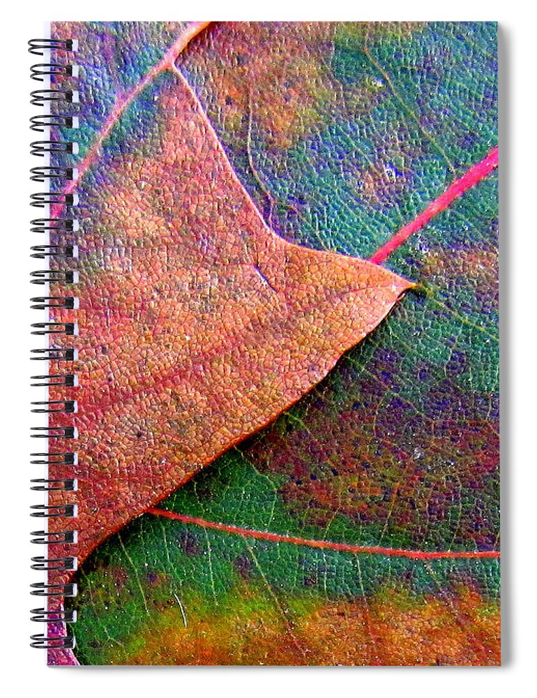 Leaves Spiral Notebook featuring the photograph Fallen Foliage by Lori Lafargue