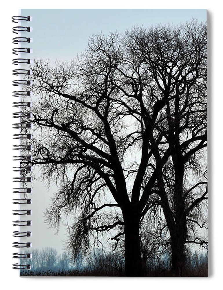 2014 Spiral Notebook featuring the photograph Falling Leaves by Robert Charity