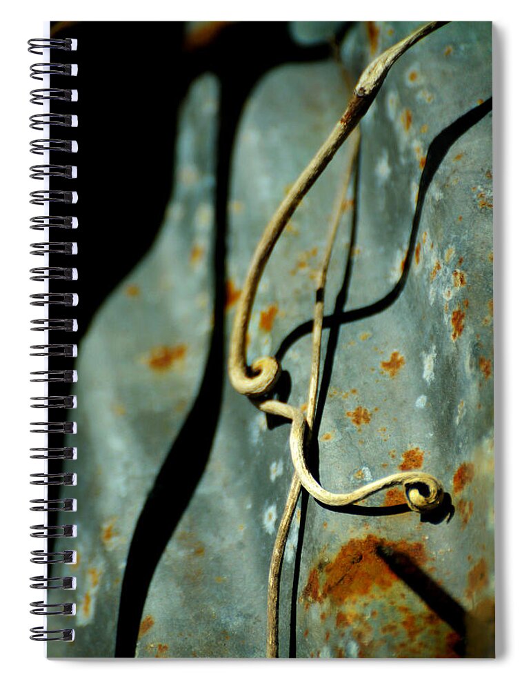 Rust Spiral Notebook featuring the photograph Falling Stars by Rebecca Sherman