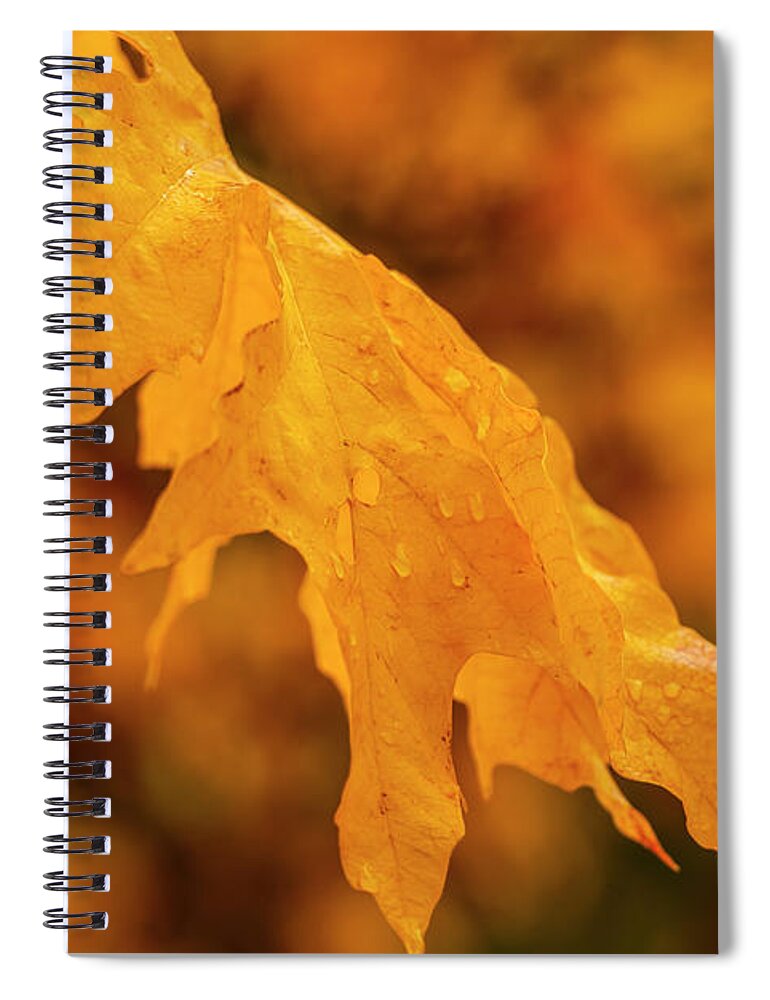 Falls Spiral Notebook featuring the digital art Falls at Central Cascade by Michael Lee