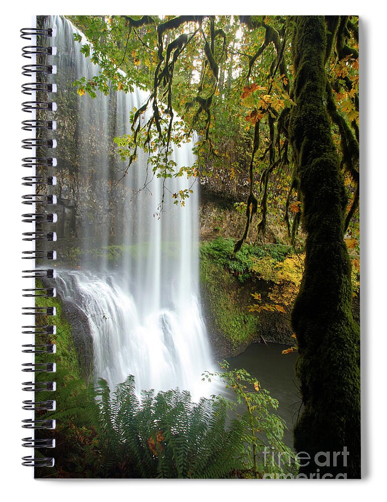 Silver Falls State Park Spiral Notebook featuring the photograph Falls Though The Trees by Adam Jewell