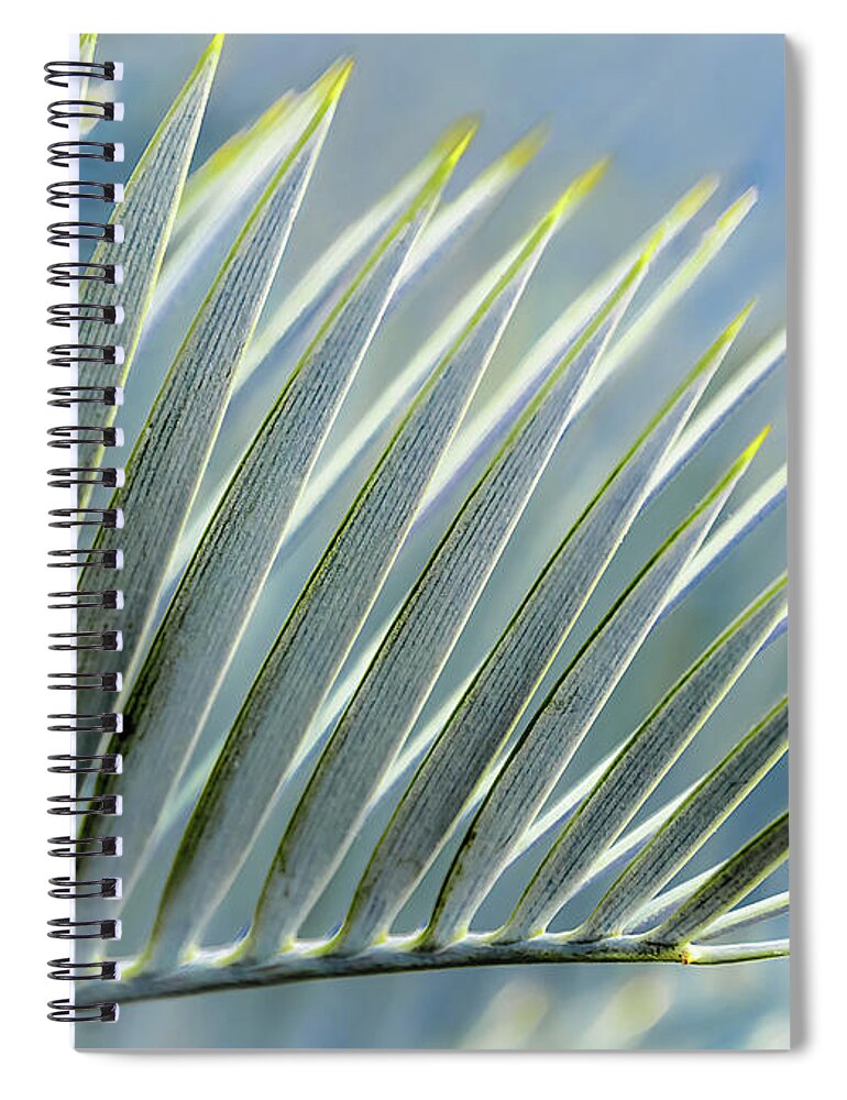 Nature Spiral Notebook featuring the photograph Fan of Spikes by Robert Mitchell