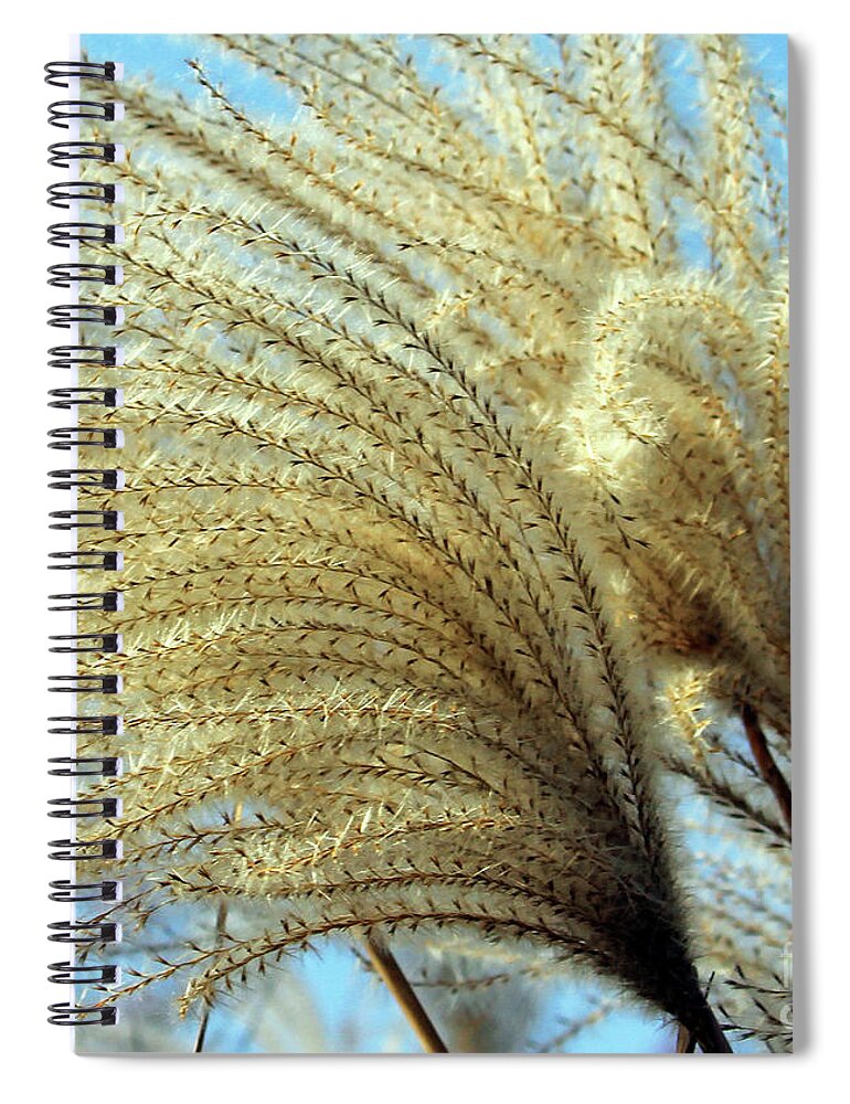 Fantail Plume Spiral Notebook featuring the photograph Fantail Plume by Jennifer Robin