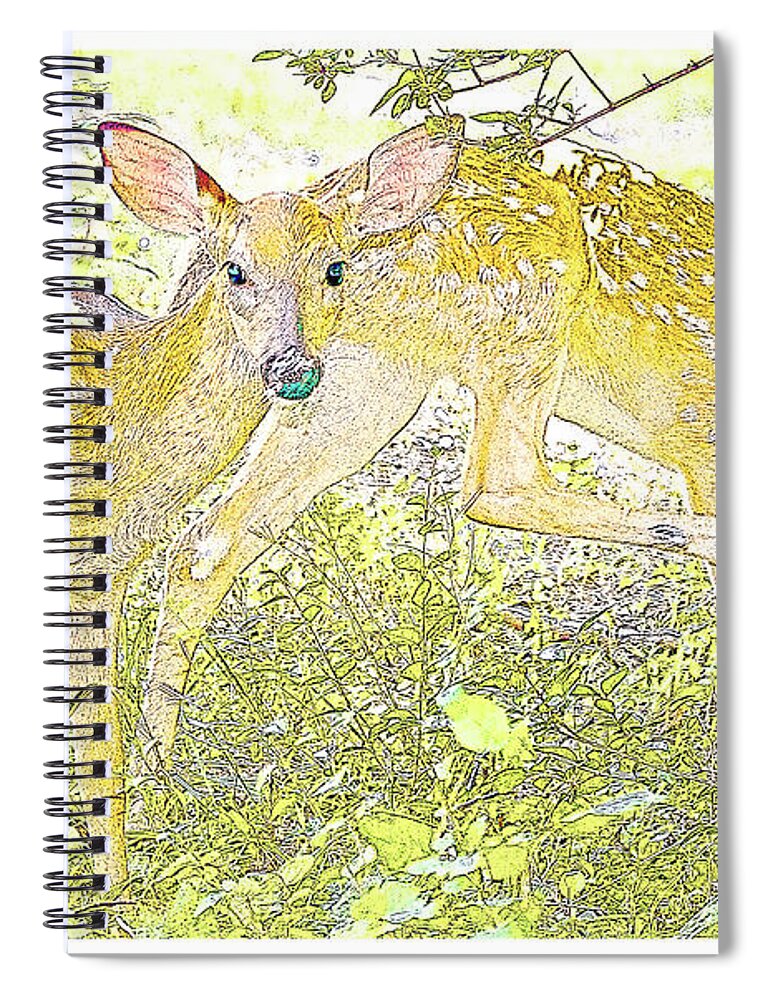 Omnivore Spiral Notebook featuring the photograph Fawn Twins Digital Painting by A Macarthur Gurmankin