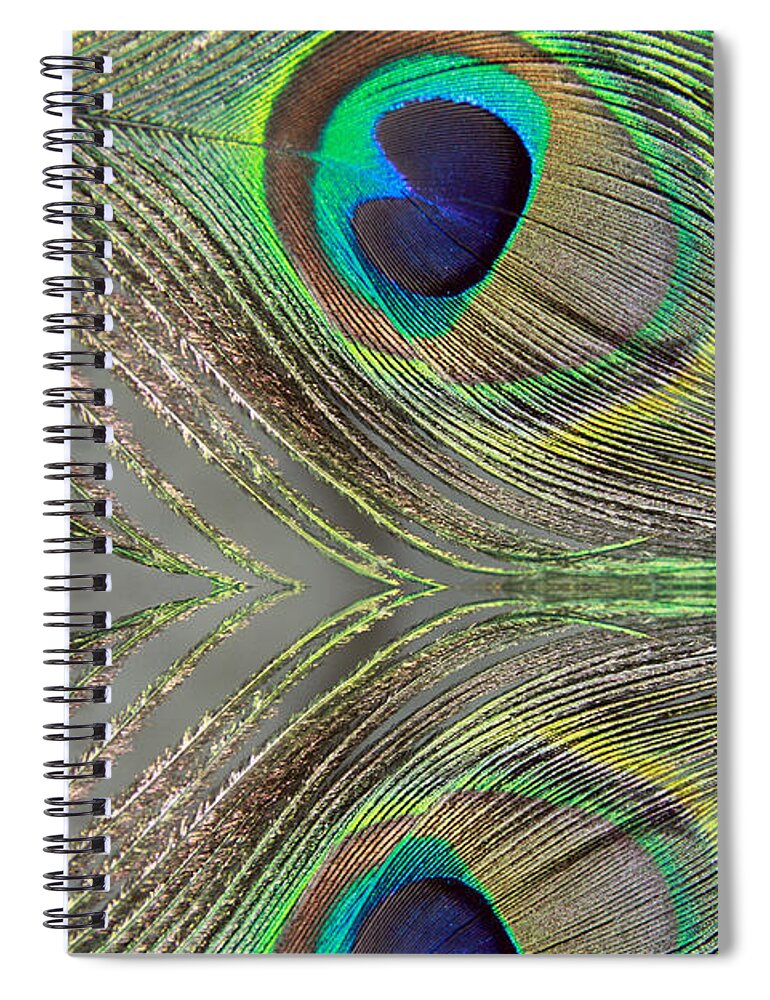 Peacock Spiral Notebook featuring the photograph Feather Reflections by Angela Murdock