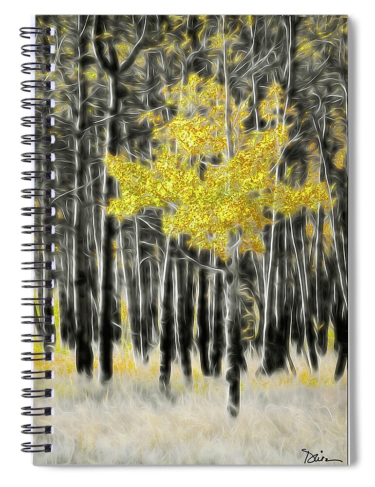 Aspen Spiral Notebook featuring the photograph Feathered Aspen by Peggy Dietz