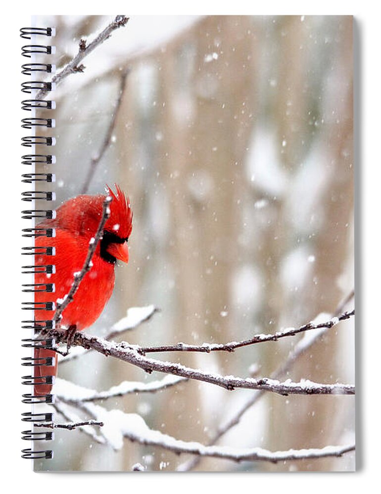 Birds Spiral Notebook featuring the photograph Feathered Friends by Trina Ansel
