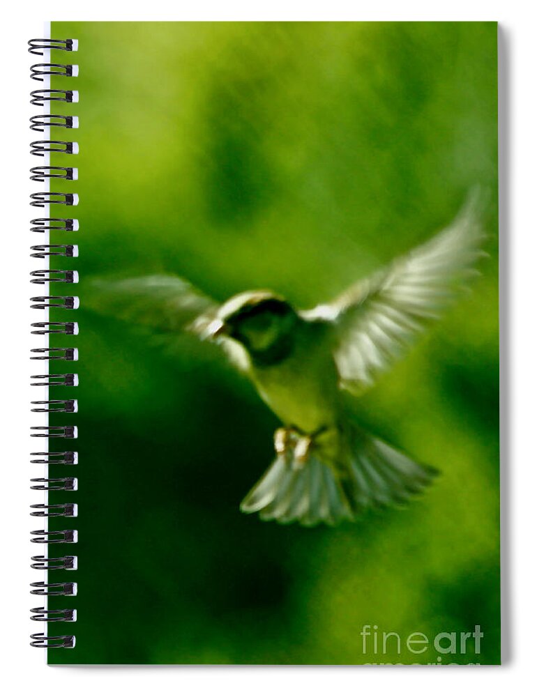 Animal Spiral Notebook featuring the photograph Feeling Free As A Bird Wall Art Print by Carol F Austin