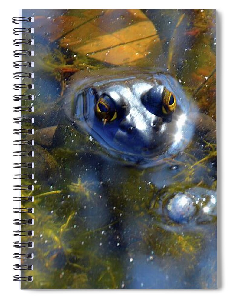 Frog Spiral Notebook featuring the photograph Feeling Froggy by Robyn King