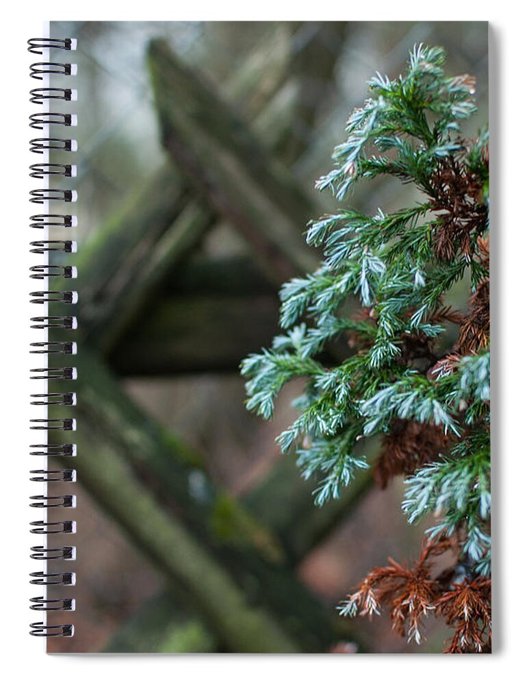 Green Spiral Notebook featuring the photograph Feeling Green by Miguel Winterpacht