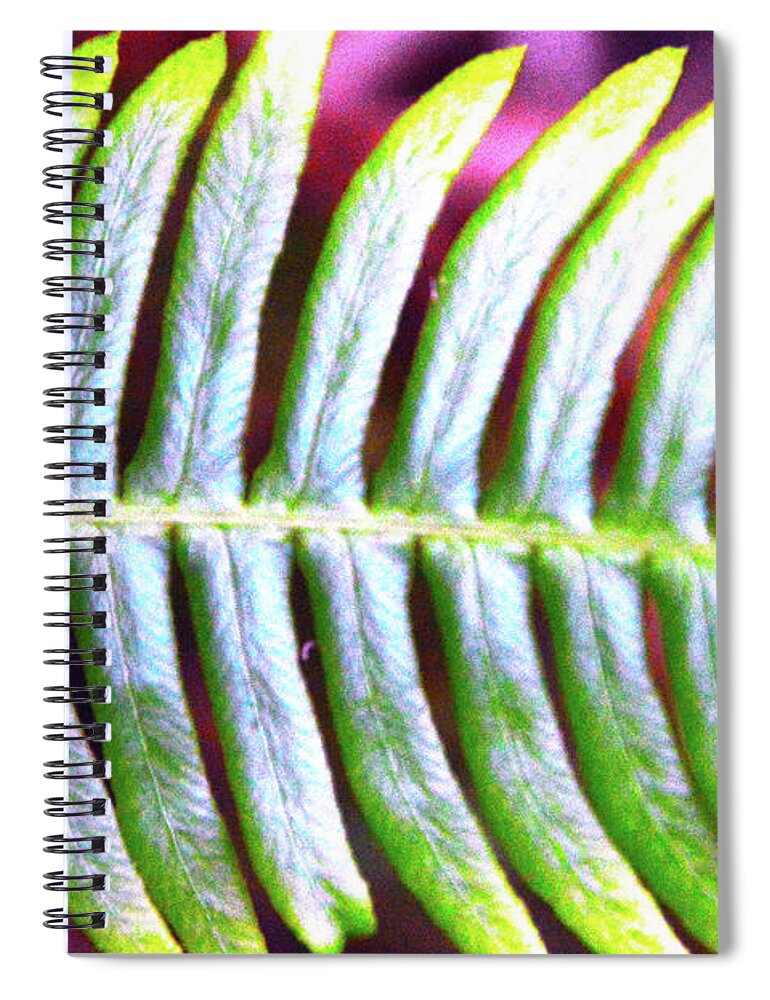 Fern Spiral Notebook featuring the photograph Fern 1 by Brian O'Kelly