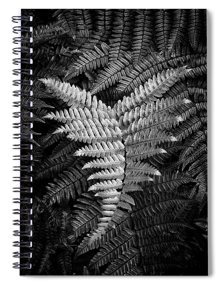 Fern Spiral Notebook featuring the photograph Fern In Black and White by Greg and Chrystal Mimbs