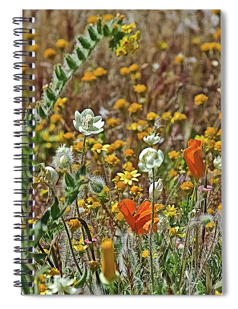 Fiddleneck Spiral Notebook featuring the photograph Fiddleneck, Cream Cups and Goldfields, and California Poppies in Antelope Valley CA Poppy Reserve by Ruth Hager