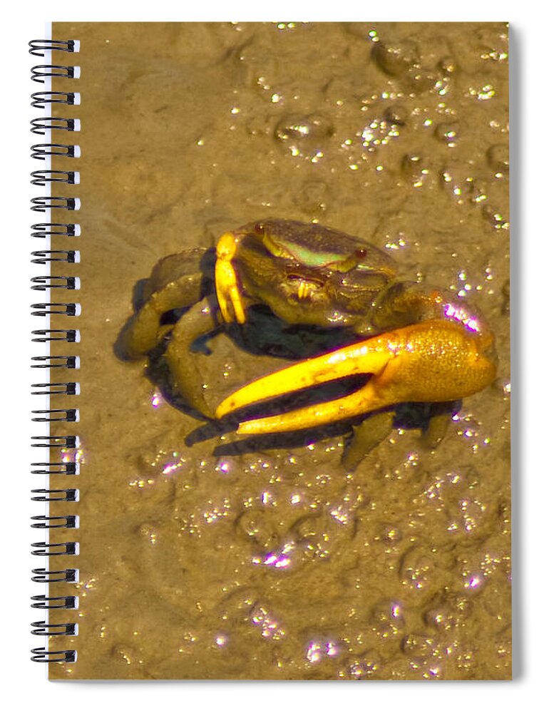 Crab Spiral Notebook featuring the photograph Fiddler Crab by Bill Barber
