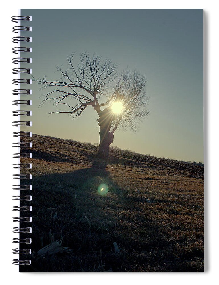 Tree Spiral Notebook featuring the photograph Field and Tree by Troy Stapek