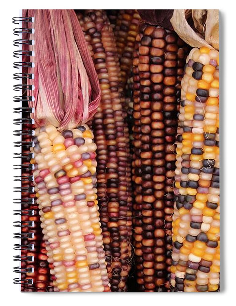 Corn Spiral Notebook featuring the photograph Field Corn 2 by Robert Wilder Jr