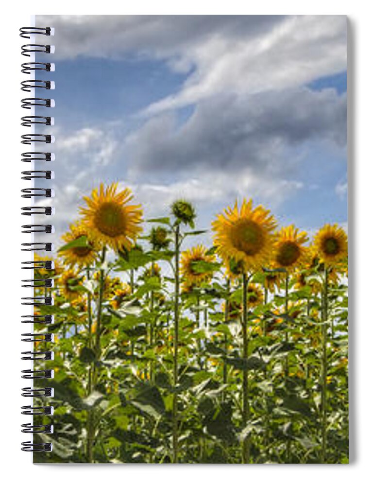 Appalachia Spiral Notebook featuring the photograph Field of Dreams Panorama by Debra and Dave Vanderlaan
