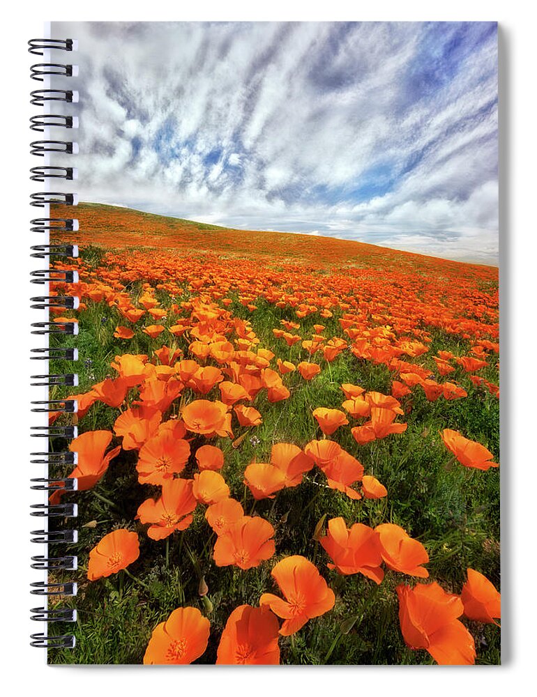 Antelope Valley Spiral Notebook featuring the photograph Field of Flowers by Nicki Frates
