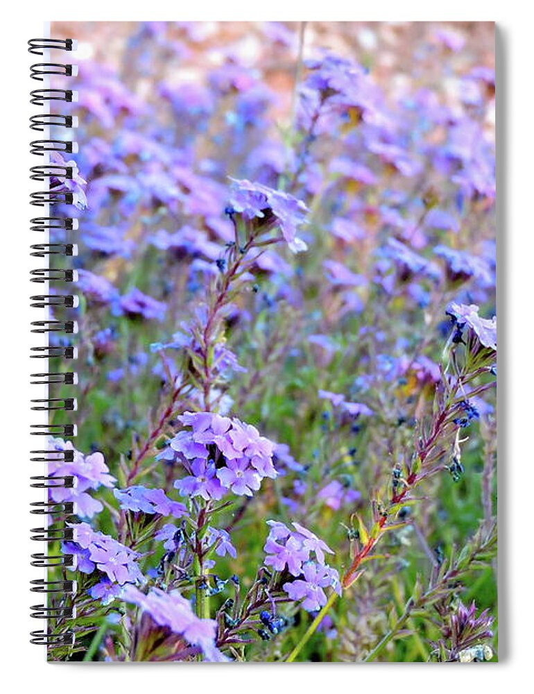 Lavendar Flowers. Little Flowers Spiral Notebook featuring the photograph Field of Lavendar by Patricia Haynes