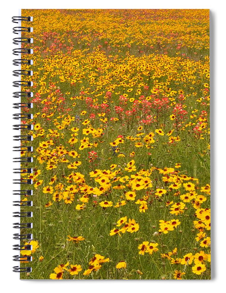 Texas Hill Country Spiral Notebook featuring the photograph Field of Spring Wildflowers by Frank Madia