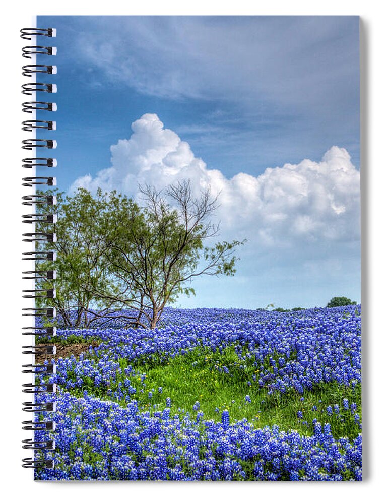 Bloom Spiral Notebook featuring the photograph Field of Texas Bluebonnets by David and Carol Kelly