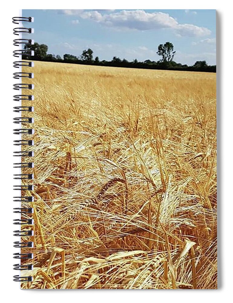 Feastyoureyes Spiral Notebook featuring the photograph Summer Gold by Rowena Tutty