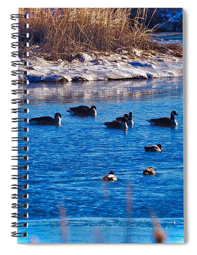 Geese Spiral Notebook featuring the photograph Fighting the Winter Tide by Shawn M Greener