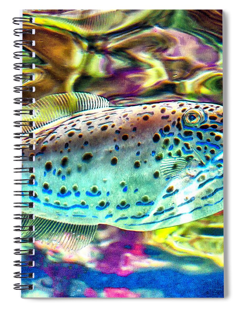 Filefish Spiral Notebook featuring the photograph FileFish by WAZgriffin Digital