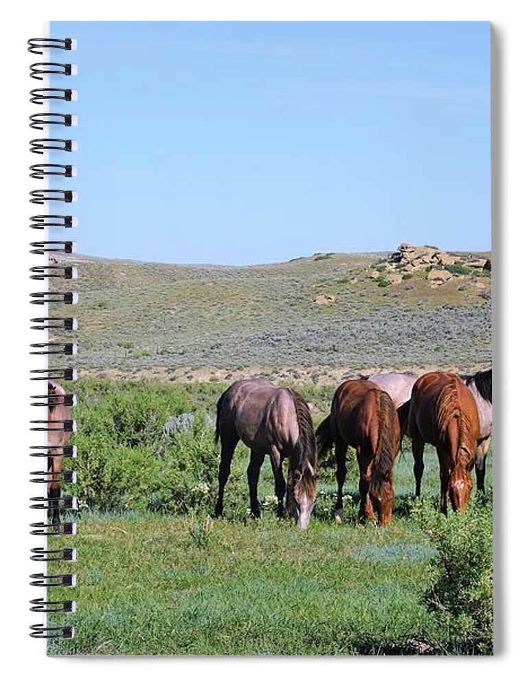Fillies Spiral Notebook featuring the photograph Fillies Day Out by Merle Grenz