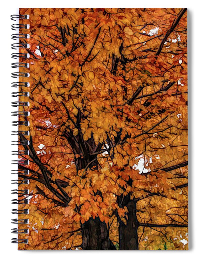 Autumn Spiral Notebook featuring the photograph Fine Wine Cafe Golden Tree by Aimee L Maher ALM GALLERY