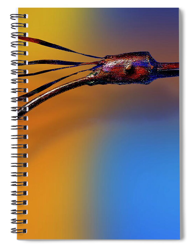 Photography Spiral Notebook featuring the photograph Fire Bird by Paul Wear