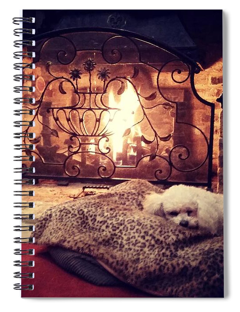 Dog Spiral Notebook featuring the photograph Fireside Peace by Rowena Tutty